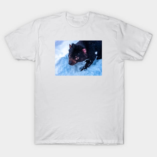 Tasmanian Devil T-Shirt by paulmp